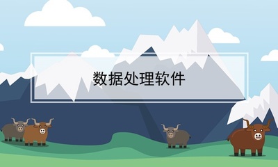 数据处理软件